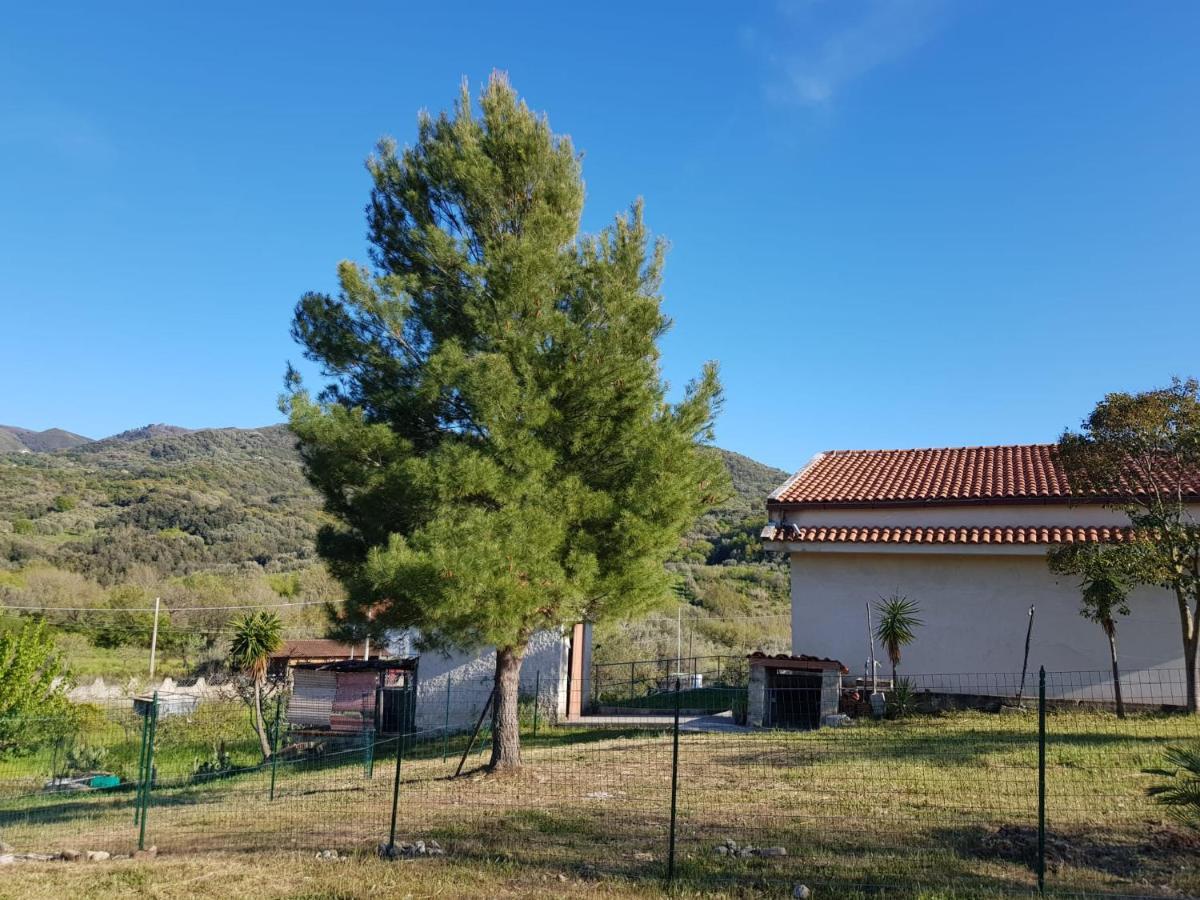 Villetta Nel Verde Ascea Exterior photo