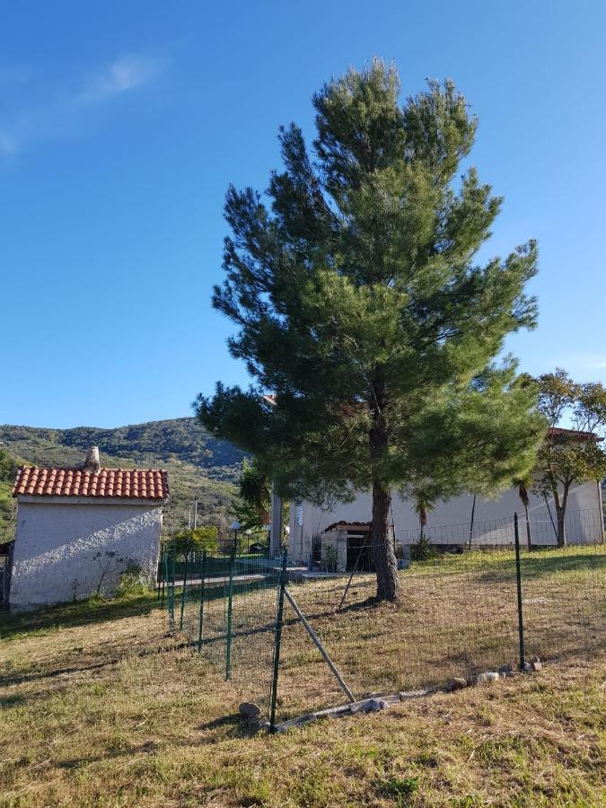 Villetta Nel Verde Ascea Exterior photo