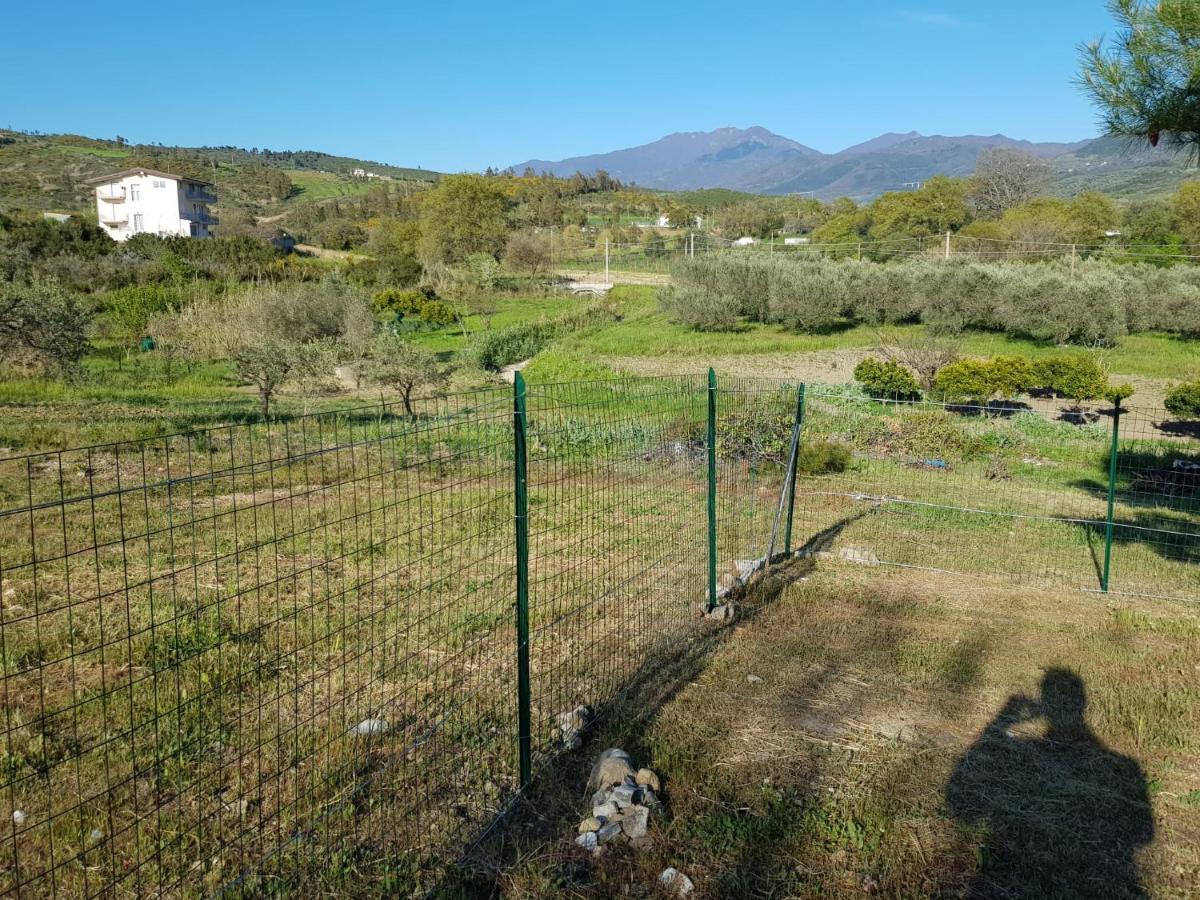 Villetta Nel Verde Ascea Exterior photo